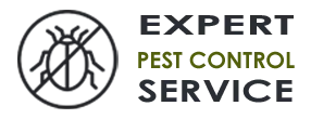 Expert Exterminator Co Renton WA